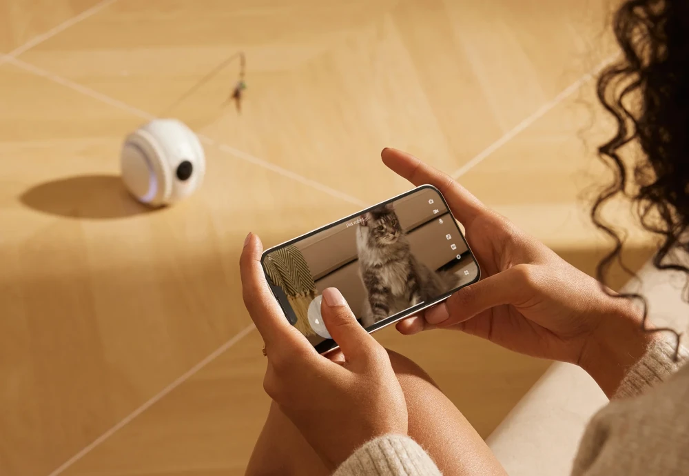 best pet watching camera