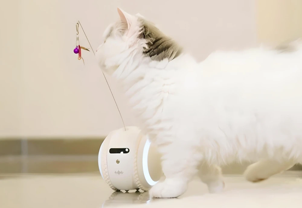 robot camera for pets